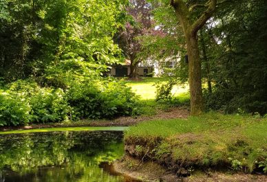 Tuin rond villa Klein Toornvliet (Gr.) gered! Update Tuin rond villa Klein Toornvliet (Gr.) gered! Update