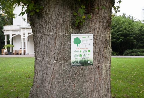 Belang van bomen zichtbaar met Tree tags