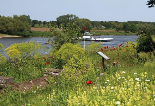 Botanische tuin de Jochumhof, Steyl (L)