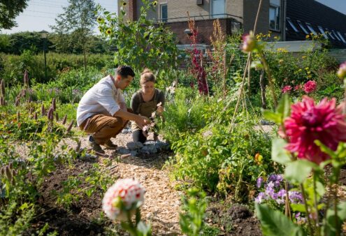 Jong NTs – Blog 10: De tuin op tv!
