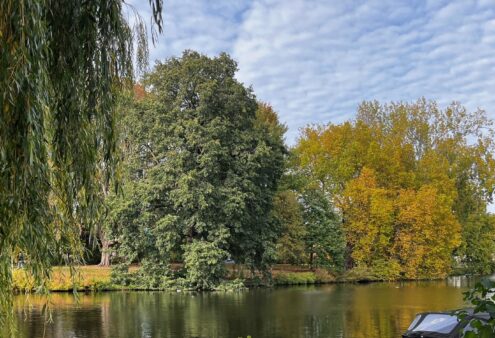 Het Singelpark, Leiden