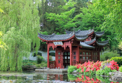 Excursie Noord Nederland, 30 mei 2026, Chinese tuinarchitectuur versus ‘De Biotoop’, Groningen
