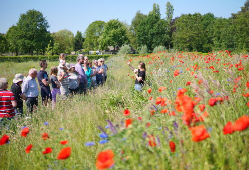 Excursie Zuid Nederland, 3 juli 2026, Eigentijdse groene ontwikkelingen: Landgoed De Wielewaal en voedselbos ’t Mortelke Brabant
