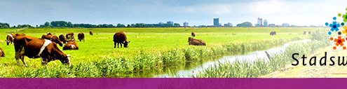 Webinar De publieke stadstuin